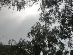 -碓臼峪自然风景区