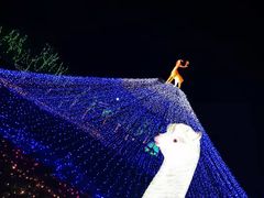 -北京鹿世界主题园