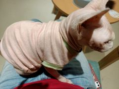 -藏猫猫咖啡主题馆(中央大道店)