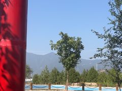 -白水寺森林公园