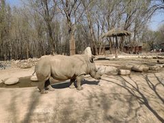 -北京野生动物园