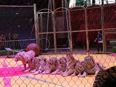 -西安秦岭野生动物园