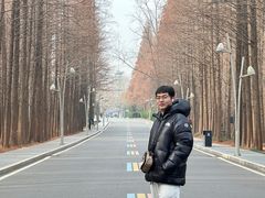 -日照海滨国家森林公园