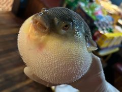 -永安鱼庄·镇江菜(丁卯店)