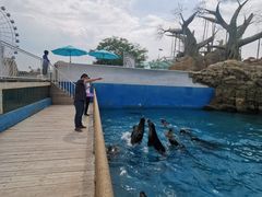 -秦皇岛乐岛海洋王国