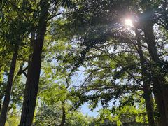 -阳台山自然风景区