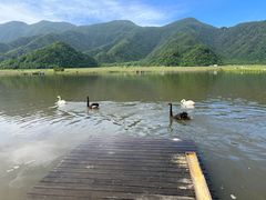 -大九湖