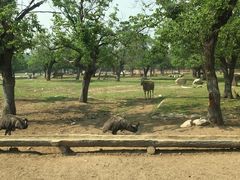 -西安秦岭野生动物园