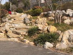 -云龙山
