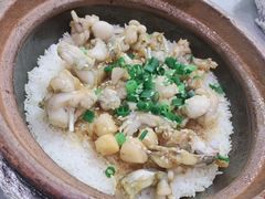 瑶柱田鸡饭-红星光发煲仔饭(大石街店)