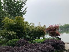 -桂林市榕杉湖景区