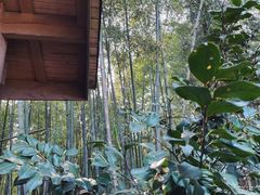 -重庆雨台山风景区