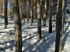 -北极村旅游风景区