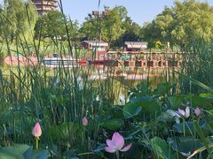 -西海子公园