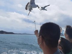 -海驴岛(荣成市)