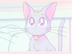 -GODIVA(万象城店)