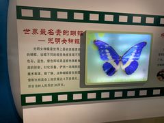 -上海昆虫博物馆