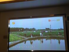 -圣和足道·瑶浴SPA·养生茶府(光华店)