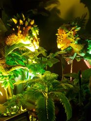 -恐龙探索乐园(磁器口店)