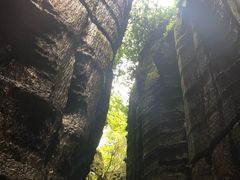 -梦幻奥陶纪景区