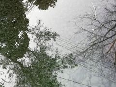 -白云源风景区