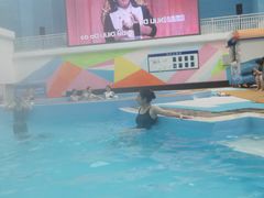 -青岛东方影都融创水世界