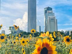 -海心沙亚运公园