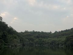-李小龙乐园(顺德均安店)