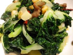 脂渣肉炒奶白菜-必点海鲜·鲅鱼水饺(鞍山西道店)