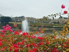 -广州莲花山旅游区