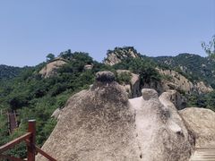 -大岭沟猕猴桃谷风景区