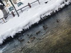 -水磨沟公园