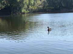 -石家庄市动物园