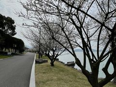 -东钱湖小普陀景区