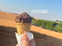 -迪拜沙漠冲沙