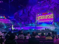 -广州长隆国际大马戏
