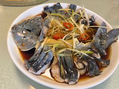稀鳞硅鱼-煲来饱去冷水鱼