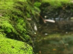 -成都杜甫草堂博物馆