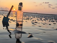 -碧海金沙