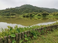 -风云岭森林公园