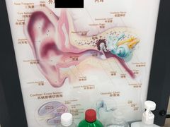-AudioNova 海之声助听器峰力助听器索诺瓦自营店(北京店)