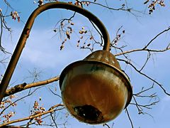 -苏州河梦清园环保主题公园