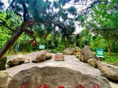 -沂蒙云瀑洞天景区