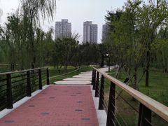 -沐仙湖湿地公园