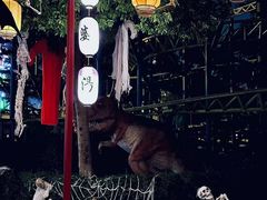 -国色天乡三期陆地乐园