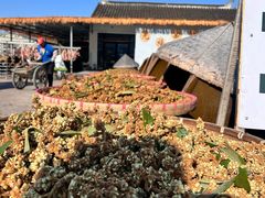 -苏州市吴中区光福窑上花果蜜饯厂