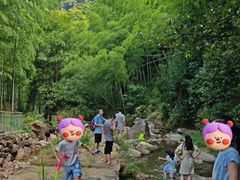 -众神白水涧景区