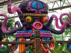 -南宫五洲植物乐园