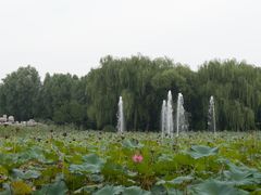 -东升八家郊野公园