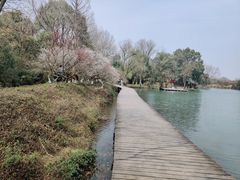 -西溪国家湿地公园